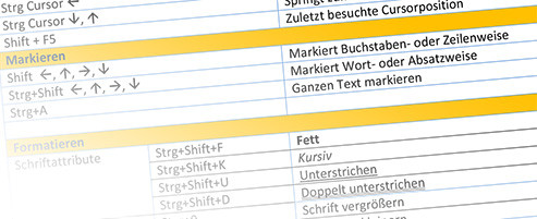 Hochwertige Schulungsunterlagen für Microsoft Office und BI Tools